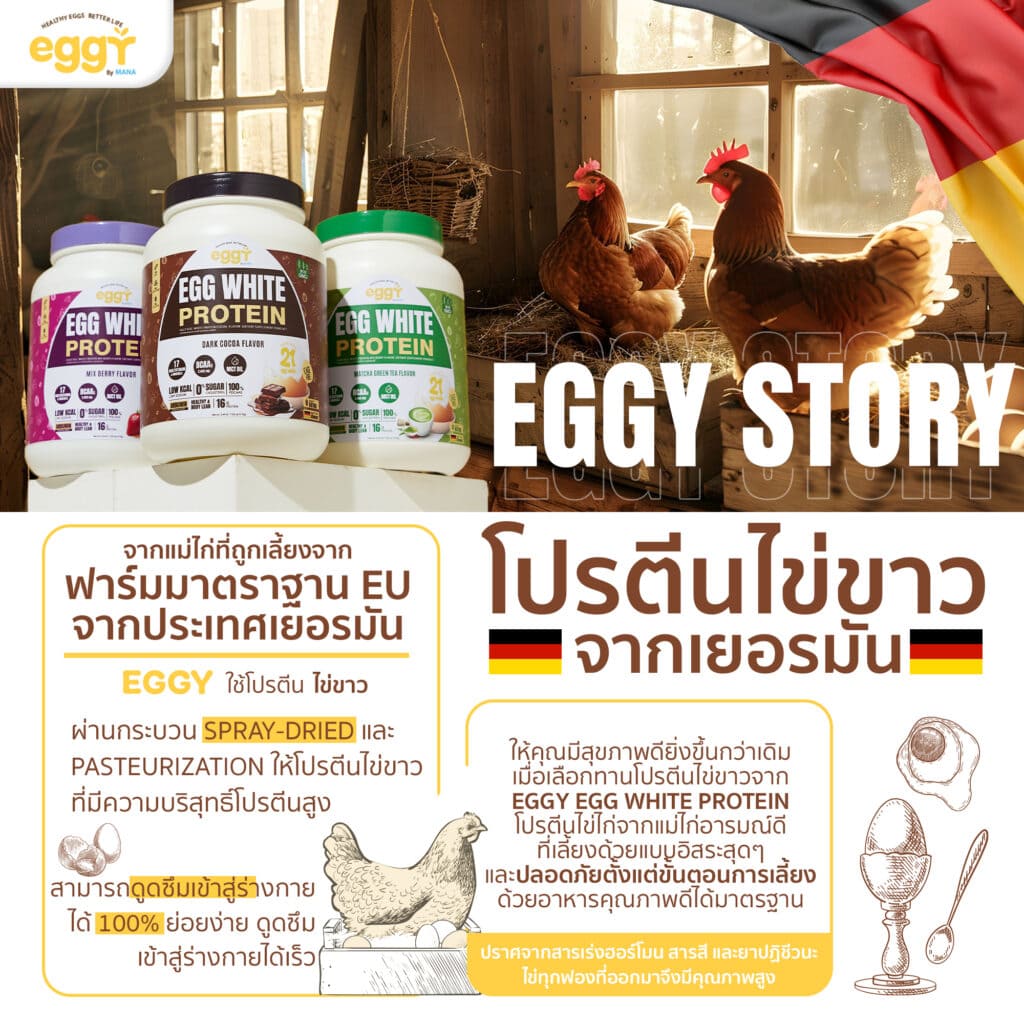 eggy protein จากเยอรมัน