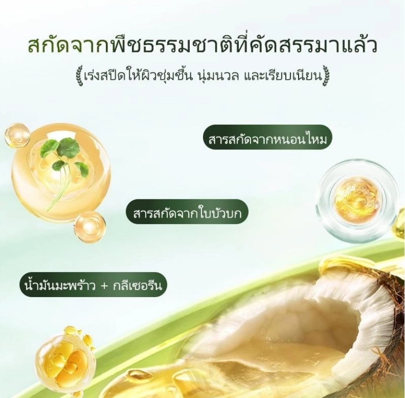 ครีมน้ำมันมะพร้าวbodana