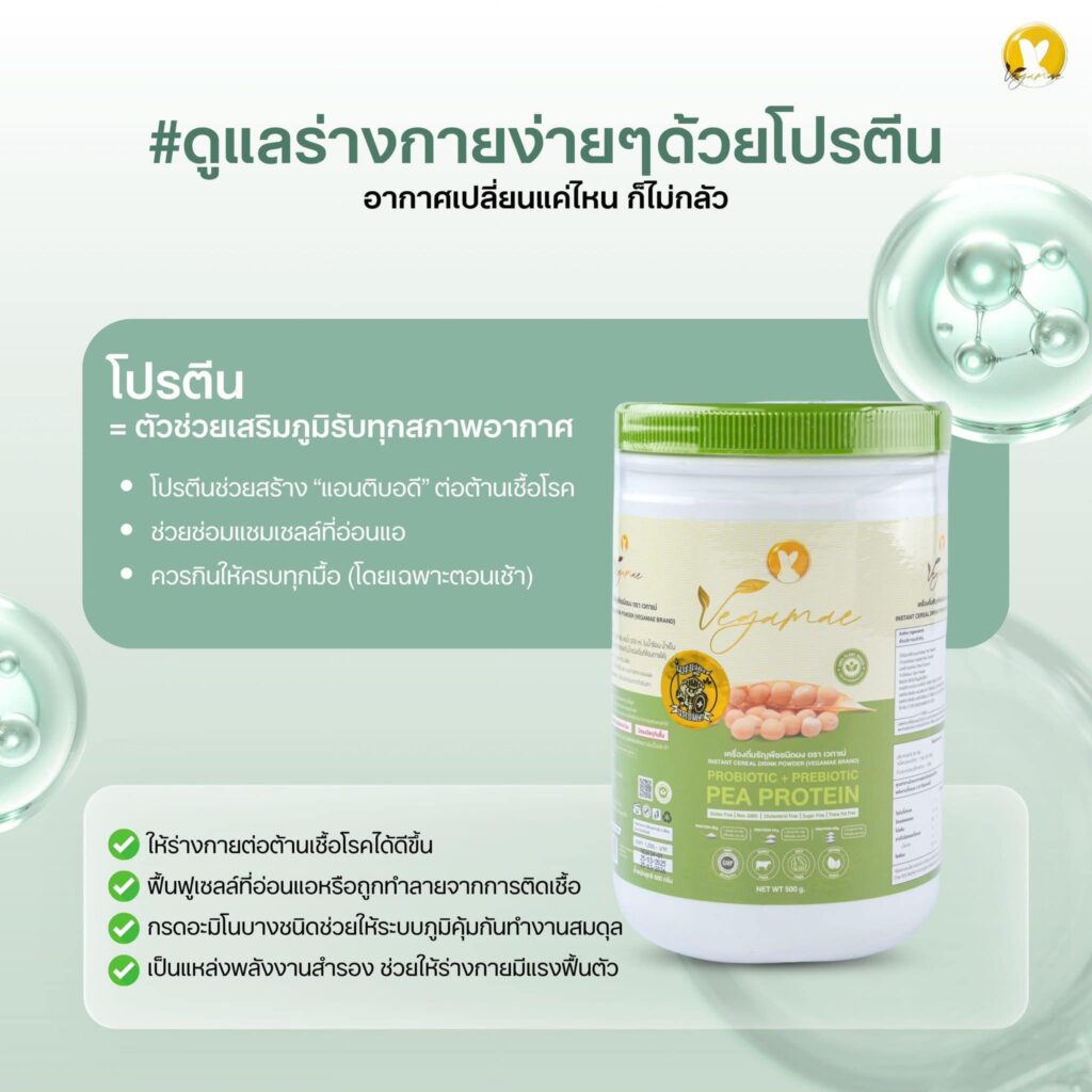 โปรตีนเวกาเม่ vagamae